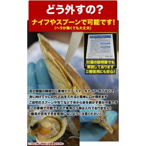 一時的禁漁中で発送まで2〜3週間前後 ホタテ ...の詳細画像5