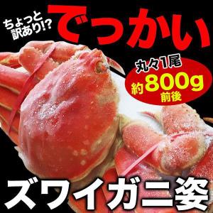 でっかいずわい蟹１尾