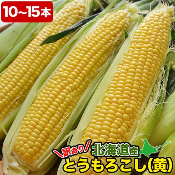 2026年収穫予約 とうもろこし 黄粒　訳あり 10〜15本前後 北海道産 とうきび わけあり 訳有...