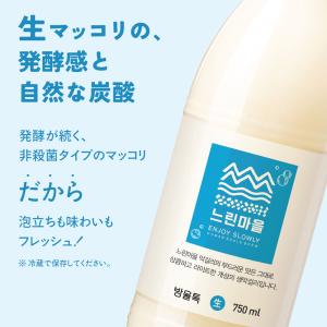 ヌリンマウル バンウルトック 生マッコリ 75...の詳細画像2