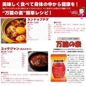 ハンおばさんの万能の素 100g 万能調味料|...の詳細画像1