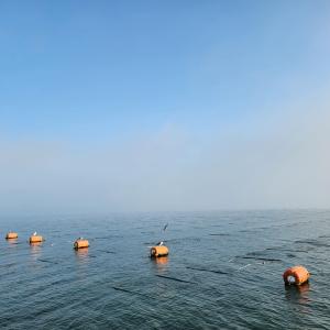 【訳あり限定、半額!】広川海苔 9切9枚 3パ...の詳細画像4