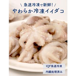 食卓応援隊 冷凍イイダコ 500g(10〜16...の詳細画像1