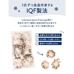 食卓応援隊 冷凍イイダコ 500g(10〜16...の詳細画像2