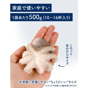食卓応援隊 冷凍イイダコ 500g(10〜16...の詳細画像5
