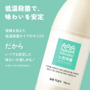 ヌリンマウル ヌルボム マッコリ 750ml×...の詳細画像2