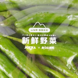 八ヶ岳産 激辛 青唐辛子 1kg(500g×2...の詳細画像4