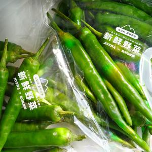 八ヶ岳産 激辛 青唐辛子 1kg(500g×2...の詳細画像3