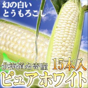 8月下旬より発送開始【北海道産ピュアホワイト】ホワイトコーン 15本入/生でも食べられます