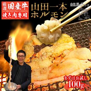 失敗しない 厳選 国産 牛 ホルモン お試し 100g 【約1人前】  【焼肉用】 焼き肉 ホルモン 山田 1本 ホルモン まる腸 小腸 お歳暮 ギフト 高級 国産牛 冷凍｜foodyamadaya