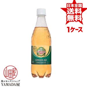 カナダドライ ジンジャーエール PET 500ml×24本 1ケース 炭酸飲料 ペットボトル 日本コカ・コーラ｜foodyamadaya