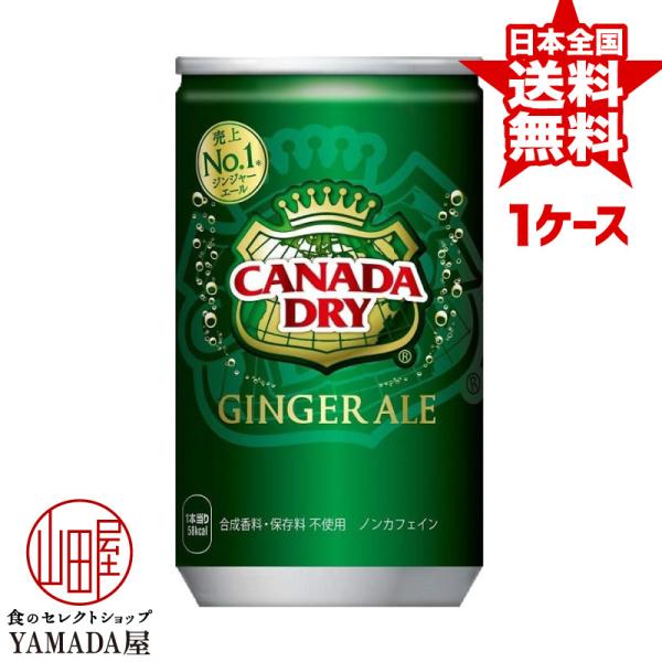 カナダドライ ジンジャーエール 160ml缶×30本 1ケース 炭酸飲料 ペットボトル 日本コカ・コ...