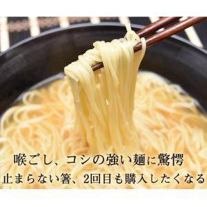 ラーメン あごだしラーメン 送料無料 500円...の詳細画像4