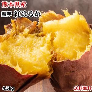 さつまいも 紅はるか 秀品10kg 送料無料 熊本県産 べにはるか