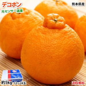 みかん デコポン 光センサー選果 約2kg 送料無料 御歳暮 ギフト