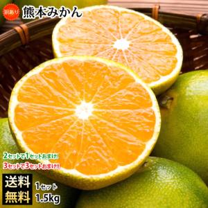 みかん 訳あり 送料無料 1.5kg 2セット購入で1セットおまけ 3セット購入で3セットおまけ 熊本みかん 熊本県産 極早生みかん 蜜柑 ミカン