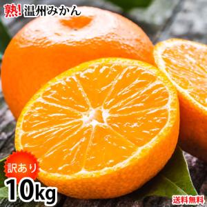 みかん 10kg 送料無料 訳あり 温州みかん 送料無料 S〜3L 熊本県産 熊本みかん 訳ありみかん 蜜柑 ミカン