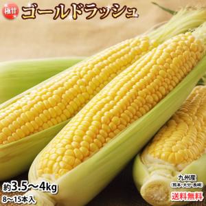 とうもろこし ゴールドラッシュ  約4kg 《クール便でお届け》