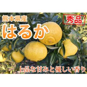 はるか みかん 送料無料 秀品 5kg M〜2...の詳細画像1