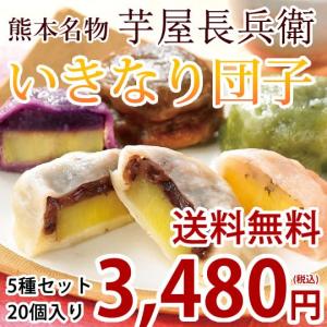 いきなり団子 送料無料 5種セット 20個入り 熊本名物 お取り寄せ 芋屋長兵衛のいきなり団子 モチモチ食感の和スイーツ 和菓子 団子 あんこ もち