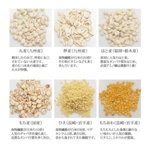 雑穀米 十八雑穀米 送料無料 750g お試し...の詳細画像5