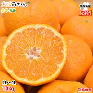 大玉みかん 10kg 2L〜4L 秀品 金峯 青島 みかん 送料無料 温州みかん 熊本県産 蜜柑 ミカン