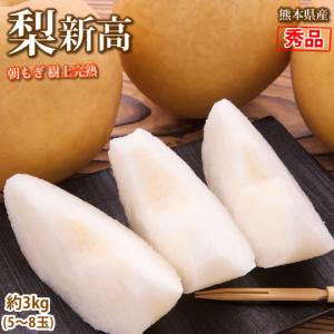 青柚子” 訳あり 約500g 大きさおまかせ 産地厳選 青ゆず【予約 5月以降