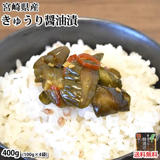 漬物 きゅうり醤油漬 無添加 400g(100g×4袋) 送料無料 九州醤油仕立て ポッキリ お試し...