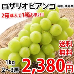 ロザリオビアンコ ぶどう 送料無料 1kg 2〜3房 2箱購入で1箱おまけ 福岡・熊本県産 シャインマスカット 葡萄 ブドウ