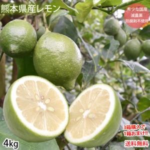 レモン 国産レモン 送料無料 4kg 2S〜L 3箱購入で1箱おまけ 熊本県産 減農薬 防腐剤ワックス不使用 れもん グリーンレモン 国産