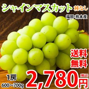 シャインマスカット ぶどう 送料無料 1房 600〜700g 福岡・熊本県産 マスカット 葡萄 ブドウ