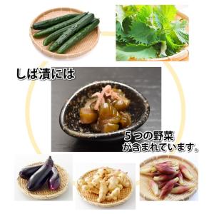 しば漬 漬物 きざみきゅうり漬け 600g(1...の詳細画像5