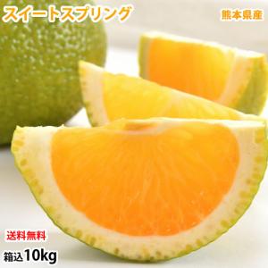 【数量限定】スイートスプリング 訳あり 10kg 箱込（内容量9kg＋補償分500g) みかん 送料無料 訳あり 熊本県産 爽やかな甘さと香り 蜜柑 温州みかん 八朔