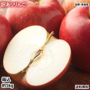 りんご 訳あり 5kg 箱込 (内容量4kg+不...の商品画像