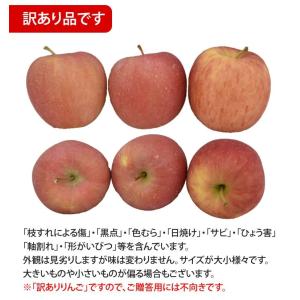 りんご 訳あり 5kg 箱込 (内容量4kg+...の詳細画像3