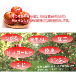 りんご 訳あり 5kg 箱込 (内容量4kg+...の詳細画像5