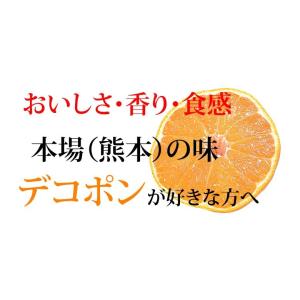 みかん デコポン 同品種 訳ありデコみかん 1...の詳細画像4