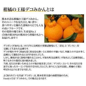 みかん デコポン 同品種 訳ありデコみかん 1...の詳細画像5