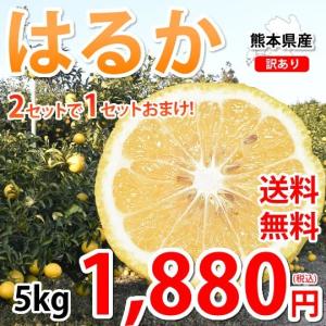 はるか みかん 5kg 送料無料 訳あり S〜2L 熊本県産 2セットで1セットおまけ はるかみかん お取り寄せ フルーツ ミカン 蜜柑