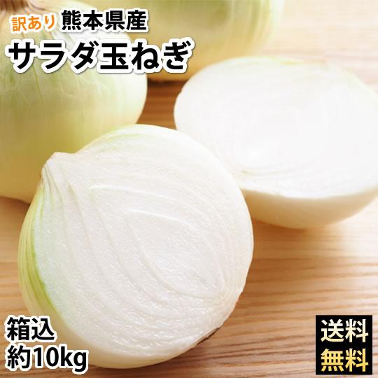 玉ねぎ サラダ玉ねぎ 訳あり 送料無料 10kg 箱込 (内容量9kg+不良補償分500g)  2S...