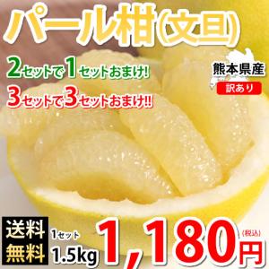 パール柑 文旦 みかん 送料無料 訳あり 1.5kg S〜3Lサイズ混合 無選別 熊本県産 ２セットで1セット 3セットで３セットおまけ グレープフルーツ