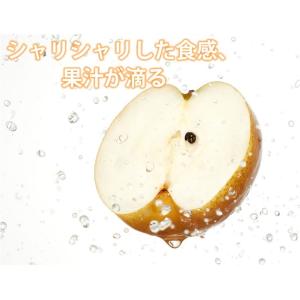 梨 送料無料 訳あり 1kg 2セット購入で1...の詳細画像2