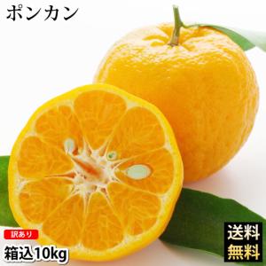 ポンカン 10kg 訳あり 送料無料 箱込 (内容量9kg+不良果補償分500g) 無選別 みかん 熊本県産 デコポン 蜜柑