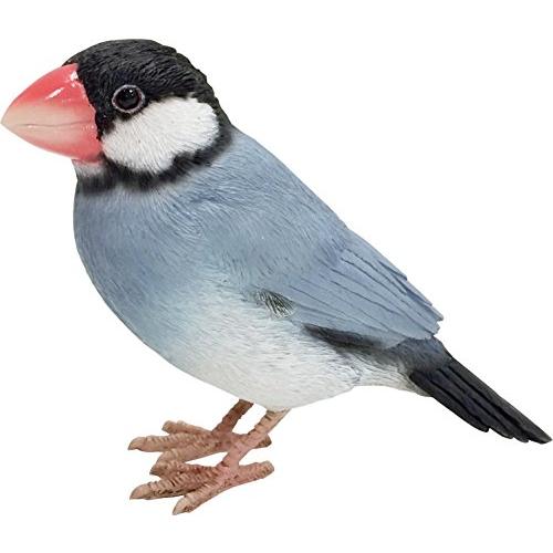 マグネット BIRDIE BILL(バーディビル) AGATE JAVA SPARROW 1684 ...