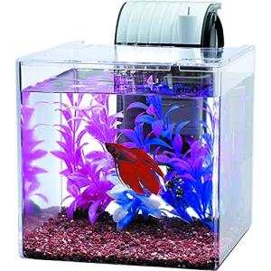 テトラ (Tetra) テトラ 静かなベタ飼育セット SF-17BF 水槽 アクアリウム