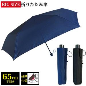 ビニール傘 65cm POE 無地 （ 透明傘 雨傘 長傘 アンブレラ シンプル