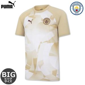 PUMA（プーマ） マンチェスターシティ トレーニングトップ ドリル