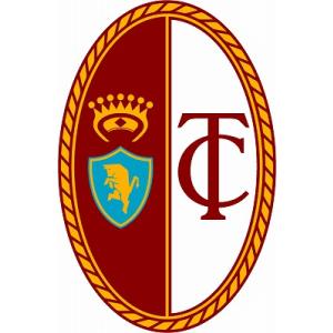 st165  トリノ エンブレム型ステッカー