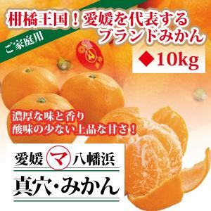 ゆページ　真穴みかん10キロSサイズ＋5キロSサイズ＋お試しみかん 数量限定】愛媛 真穴みかん規格外 10kg 大きさおまかせ 訳あり・ご家庭