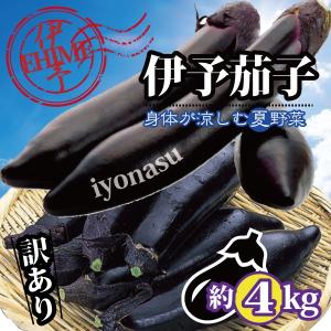 なす ナス 伊予茄子 訳あり 愛媛産  約４ｋｇ ご家庭用